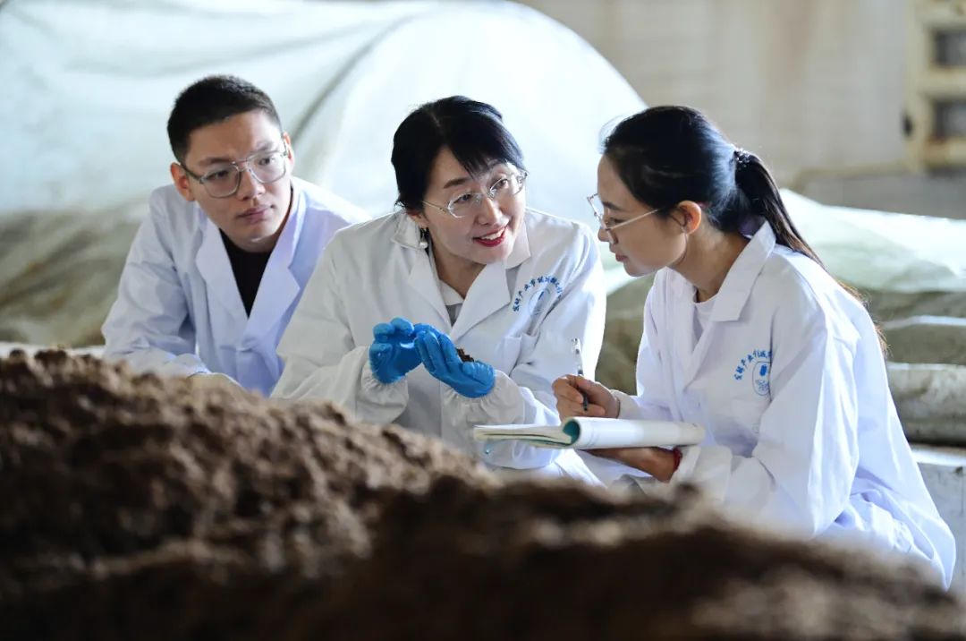 科研誠信典范 生物飼料研發(fā)領域的堅守與探索