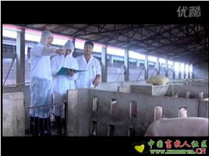 應聘廣州市博善生物飼料有限公司 生物飼料研發之路